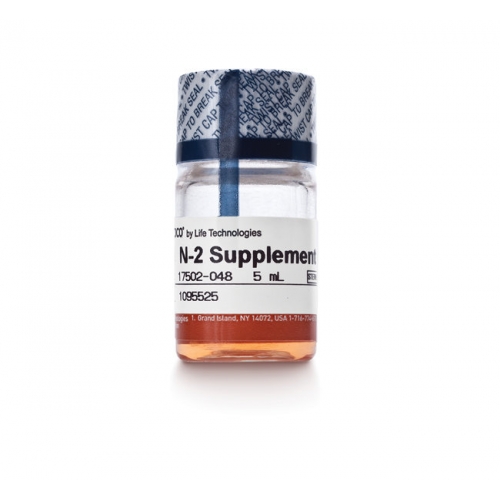 N-2 Supplement (100X), Liquid 货号： 17502048