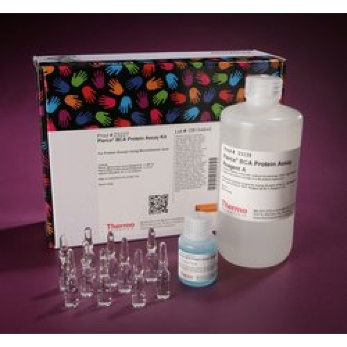 Pierce™ BCA Protein Assay Kit BCA蛋白定量试剂盒