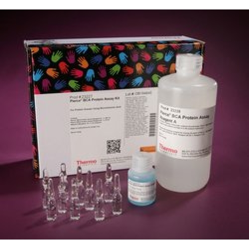 MEGAclear™ Transcription Clean-Up Kit 转录...